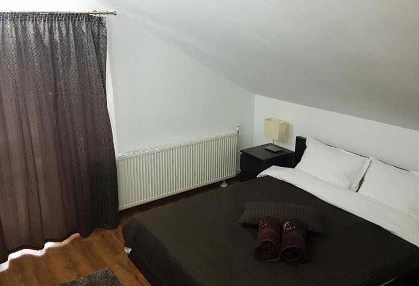 Номер Стандарт, Pensiunea Casa Runcu Buzau