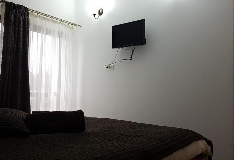 Номер Стандарт, Pensiunea Casa Runcu Buzau
