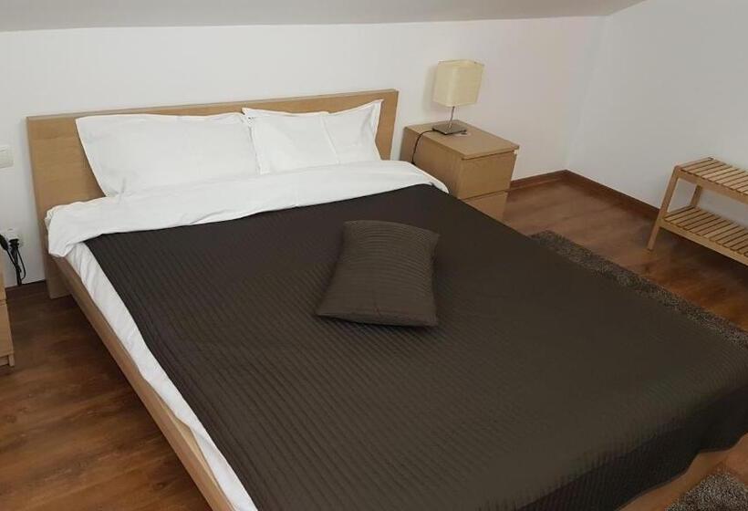 Дом 4 Спальни, Pensiunea Casa Runcu Buzau