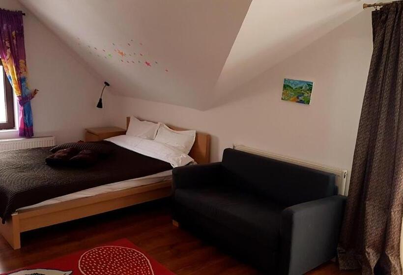 Дом 4 Спальни, Pensiunea Casa Runcu Buzau