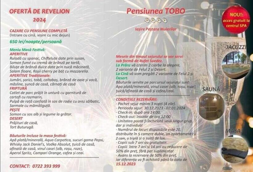 스탠다드 룸 킹사이즈 침대, Pensiunea Tobo