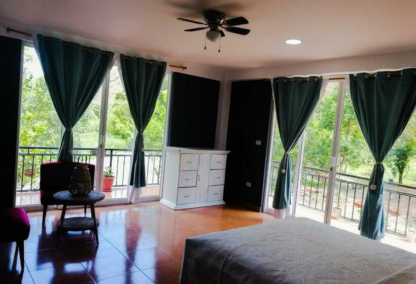 اتاق استاندارد, Zoila's Suite Escape