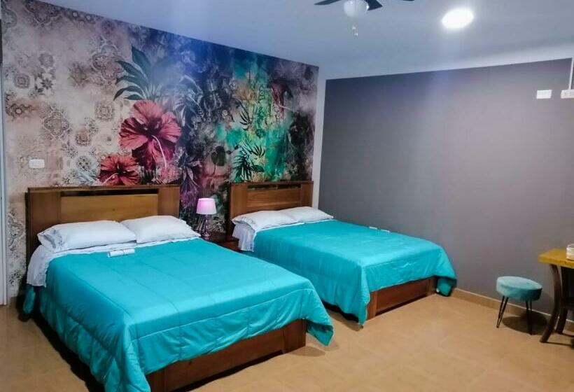 اتاق استاندارد, Zoila's Suite Escape
