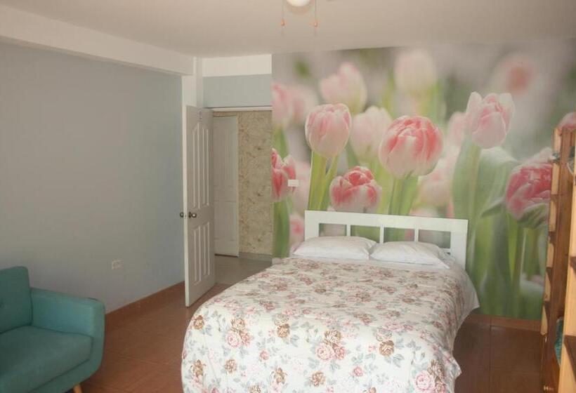 سوییت خانوادگی, Zoila's Suite Escape