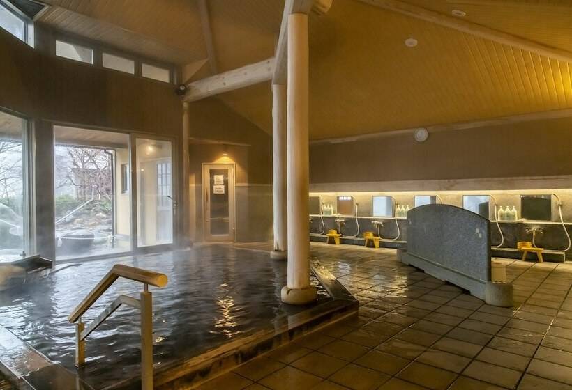 Номер Стандарт, Symphony Annex Sagae Onsen
