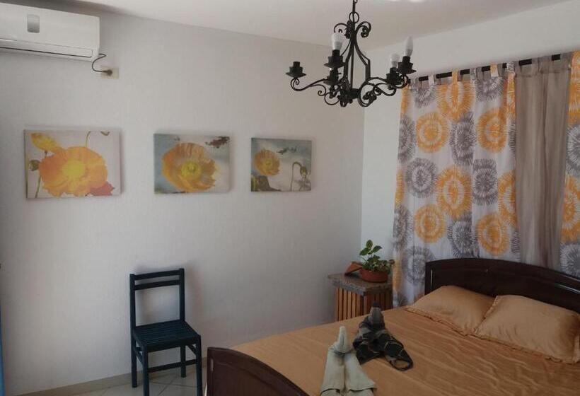 استودیوی استاندارد, L'artisan
