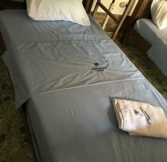 공동 객실, Playa Samara Hostel