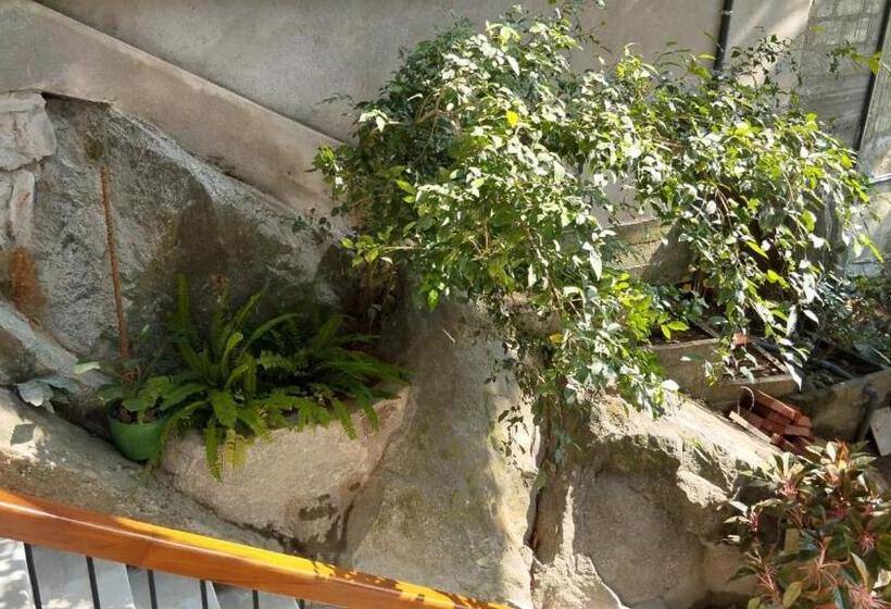 חדר סטנדרט נוף לגינה, Sinali Villa