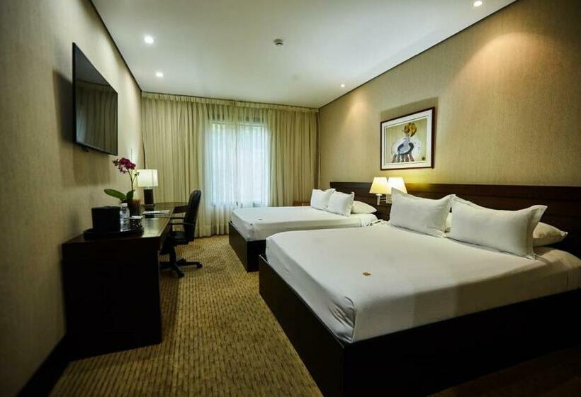 اتاق استاندارد, Eurobuilding Express Maiquetía