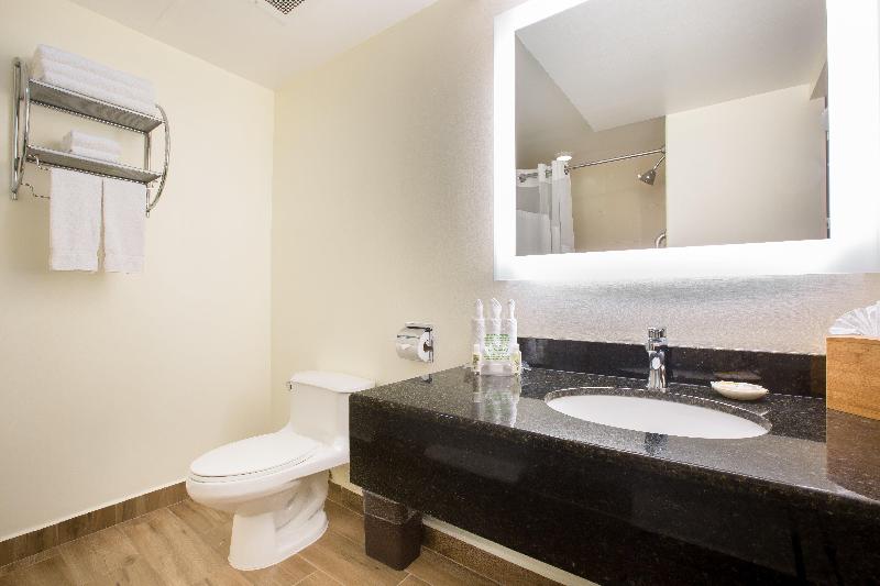 标准间, Holiday Inn San Salvador, An Ihg