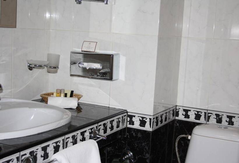 اتاق کلاسیک, Premier Hotel Dnister