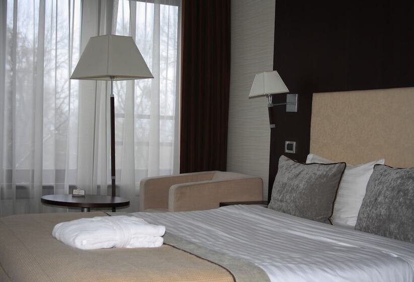اتاق کلاسیک, Premier Hotel Dnister