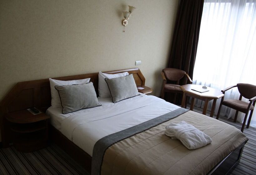 اتاق کلاسیک, Premier Hotel Dnister
