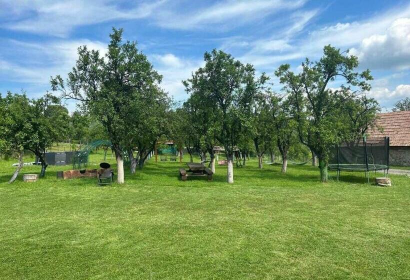 스탠다드 발코니 룸, Agropensiunea Darden