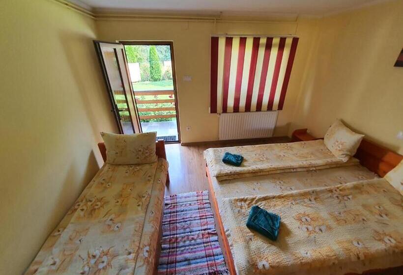 豪华房间, Casa Monika Ciocarliei
