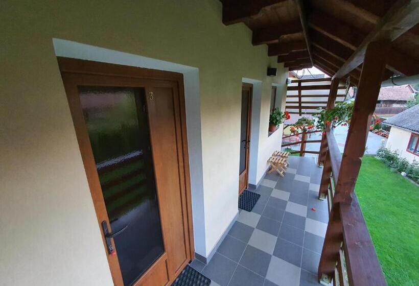 家庭间, Casa Monika Ciocarliei