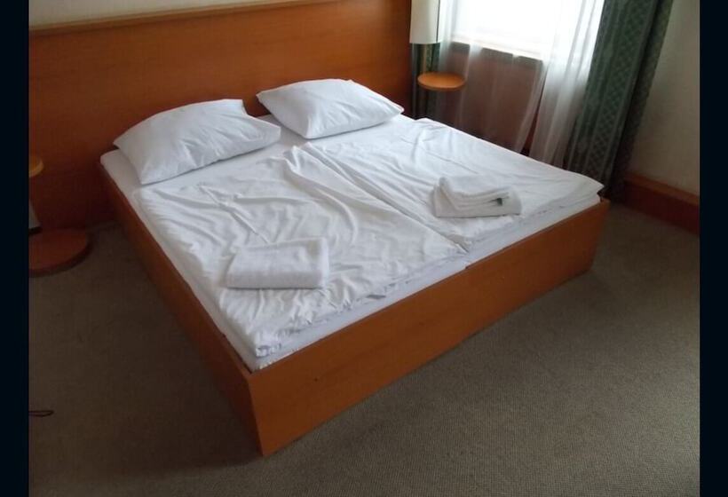 اتاق استاندارد با سرویس بهداشتی مشترک, Gallery Hotel Sis
