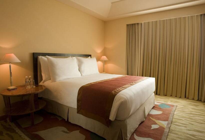 프리미엄 룸, The Grand New Delhi