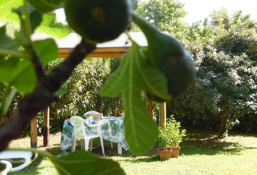 آپارتمان 1 خوابه, La Casa Rosa