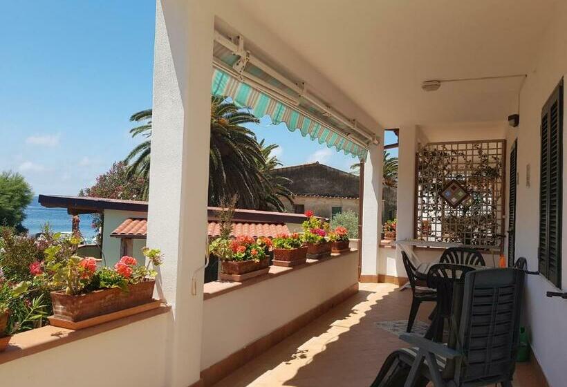 آپارتمان 1 خوابه با چشم‌انداز دریا, Residenza Airone Blu