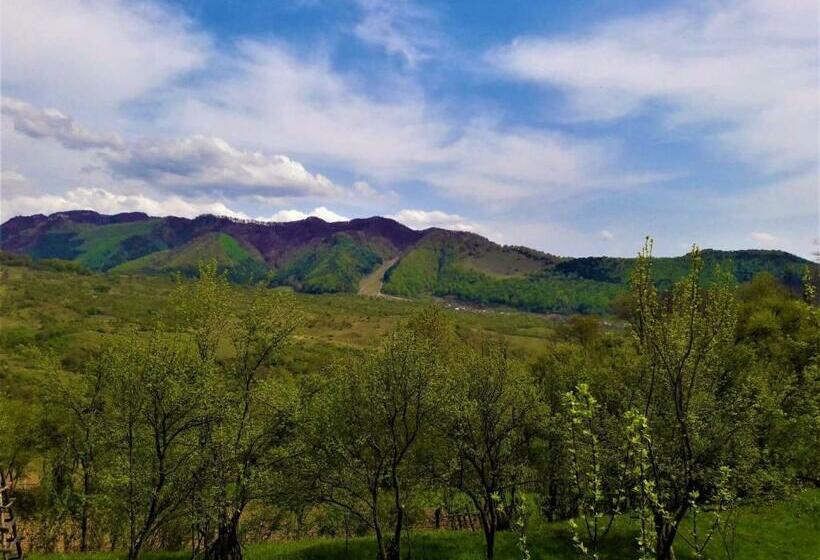 Дом 1 Спальня, Casa Din Piatra