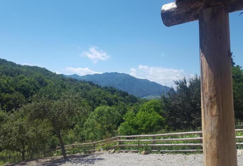 Дом 1 Спальня, Casa Din Piatra
