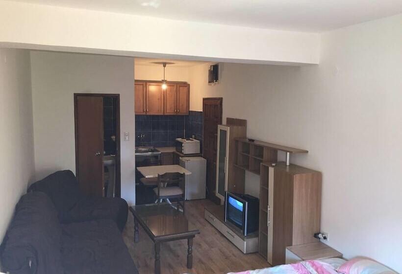 استودیو ساده, Neni Apartments