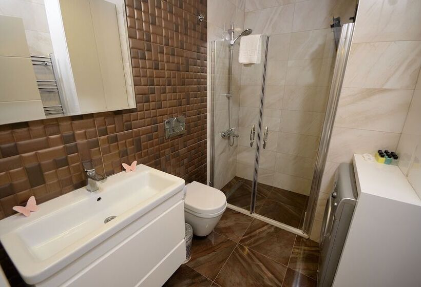 エコノミールーム, Saatli Apart Otel