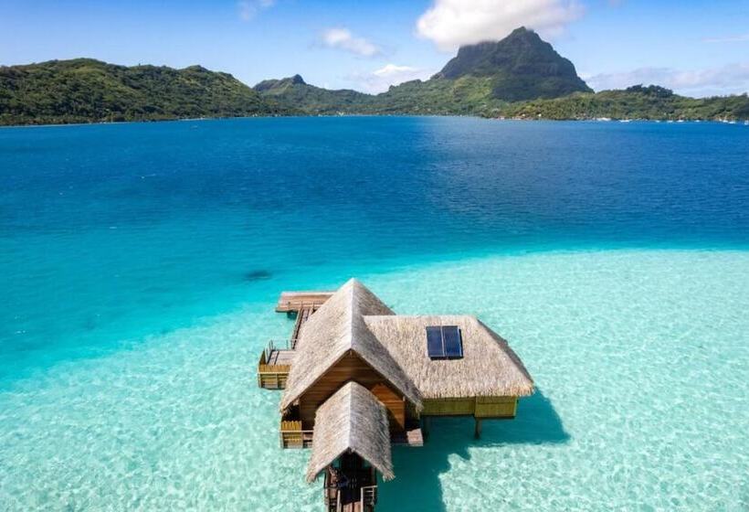 سوییت, Le Bora Bora By Pearl Resorts