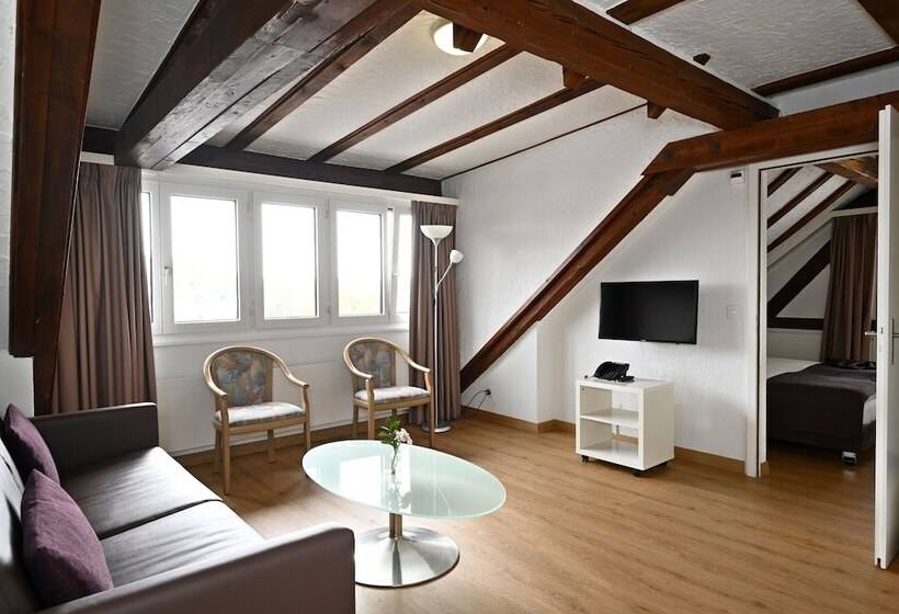 اتاق استاندارد, Olympia Hotel Zurich