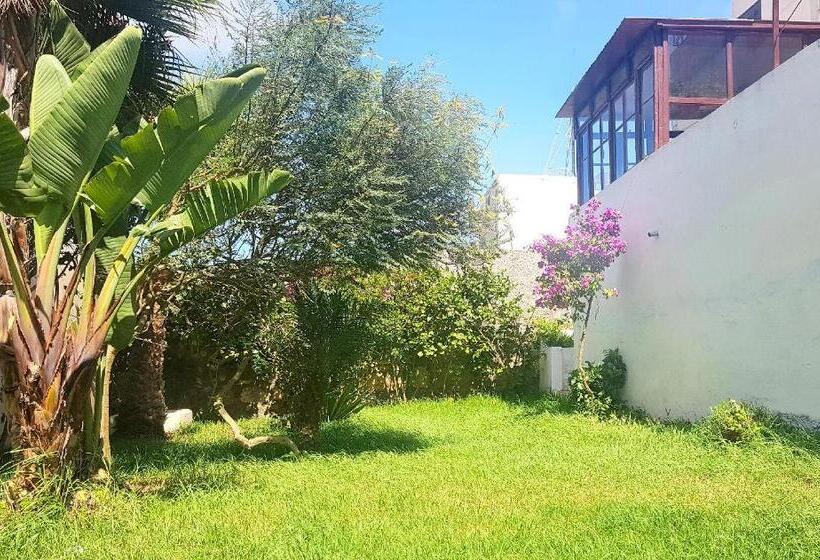 آپارتمان 1 خوابه با تراس, Maison De La Lagune