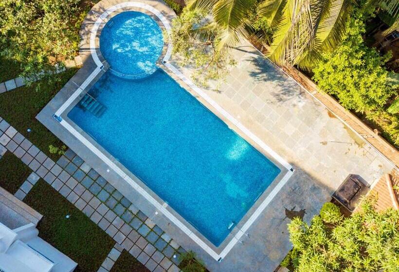 استودیوی استاندارد, Resort Paloma De Goa