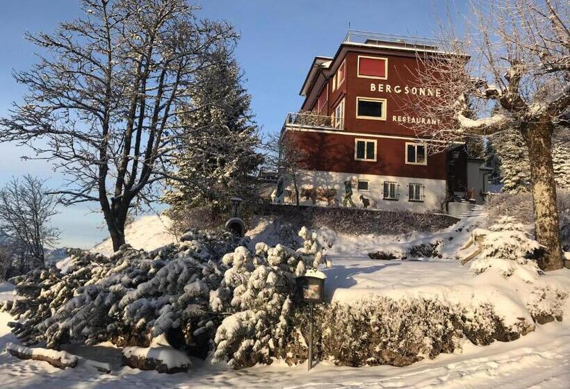 Номер Стандарт Вид на Горы, Bergsonne Rigi