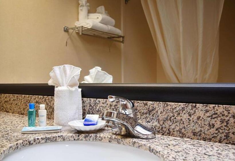 身障者適用キングサイズベッドルーム, Best Western Classic Inn