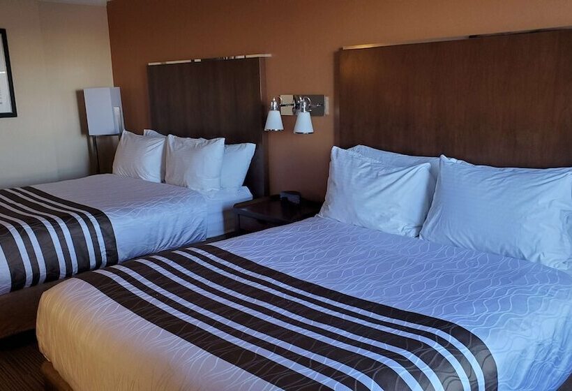 Номер Стандарт 2 Двуспальные Кровати, Waterloo Suites