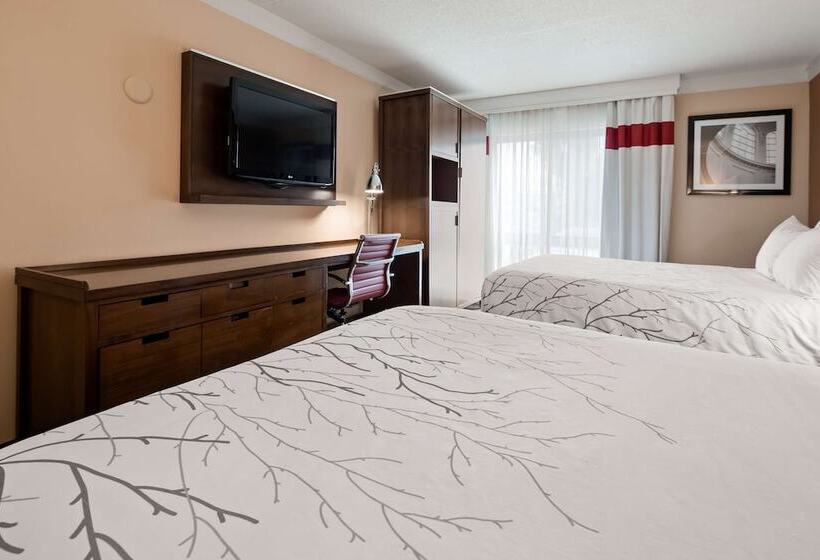 חדר סטנדרט שתי מיטות זוגיות, Waterloo Suites