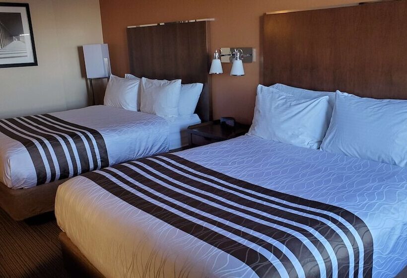 Номер Стандарт 2 Двуспальные Кровати, Waterloo Suites
