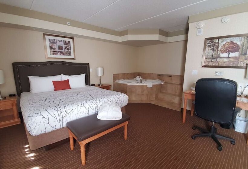 סוויטה עם ג'קוזי, Waterloo Suites