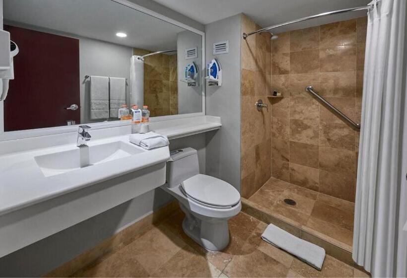 스탠다드 룸, City Express By Marriott Monterrey Santa Catarina
