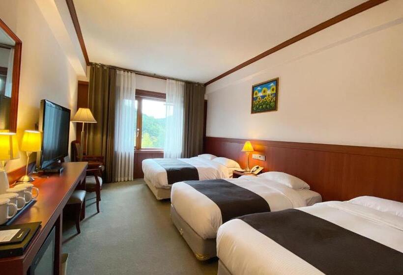 Трехместный Номер Deluxe, Commodore Hotel Gyeongju