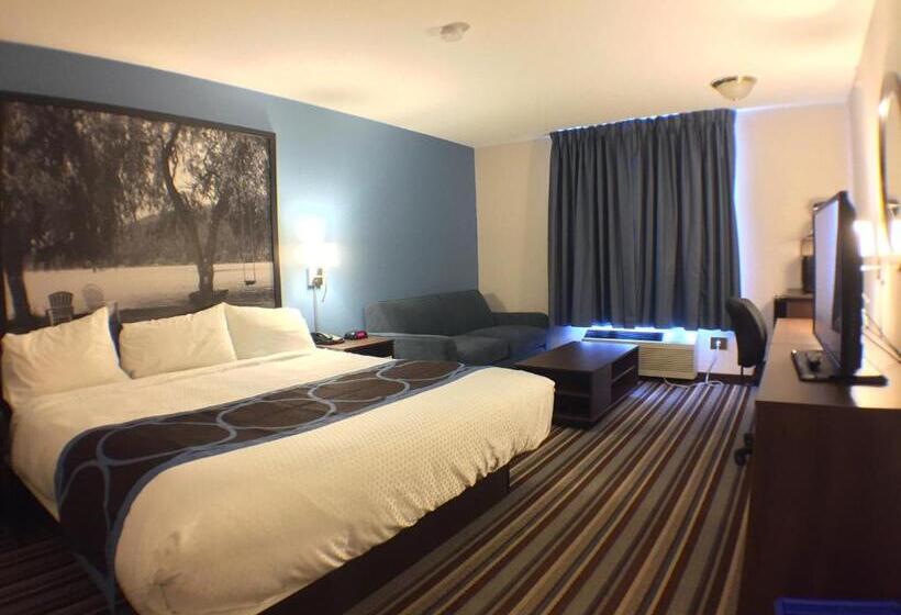 带大床的豪华间, Super 8 By Wyndham Fort Frances