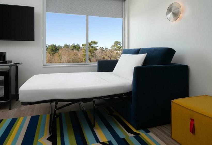 Стандартный Номер Кровать Кинг, Aloft Houston Shenandoah   The Woodlands