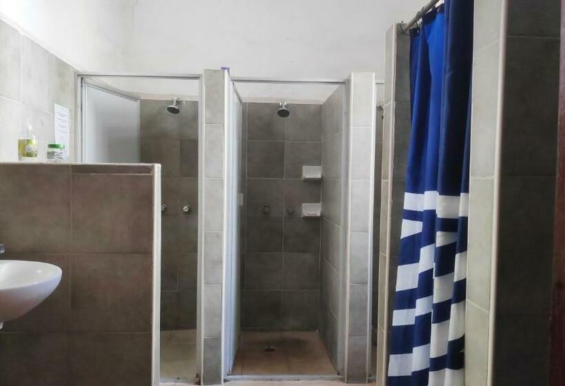 Cama em Quarto Compartilhado, Hostal Zocalo   Hostel