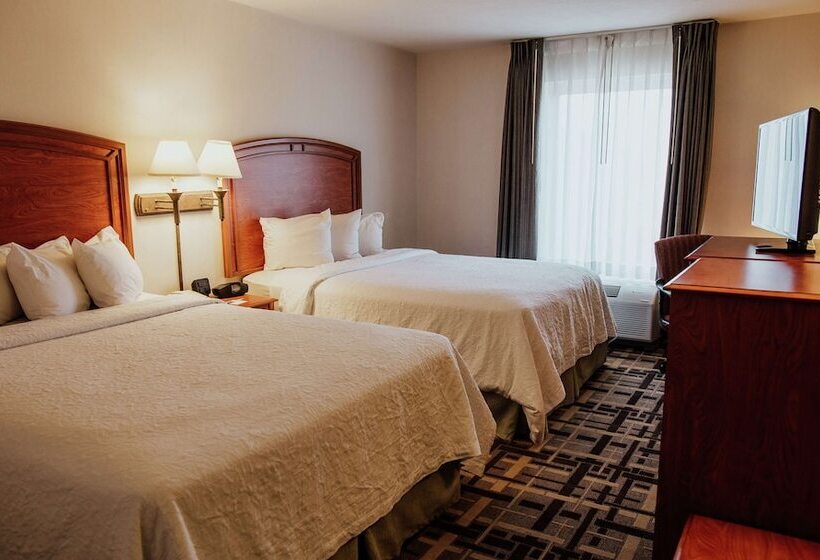 ２ダブルベッドのスタンダードルーム, Hampton Inn By Hilton Torreónairport Galerías