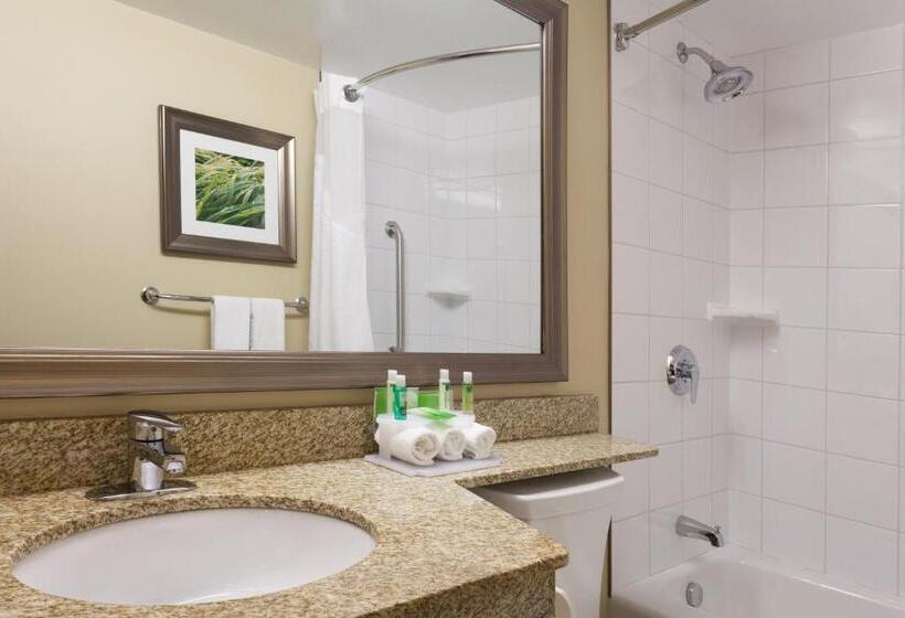 キングサイズベッドのスタンダードルーム, Holiday Inn Express Hotel & Suites Uptown Fredericton, An Ihg
