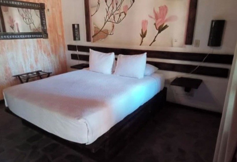 اتاق استاندارد, Boutique Posada De Las Flores Loreto
