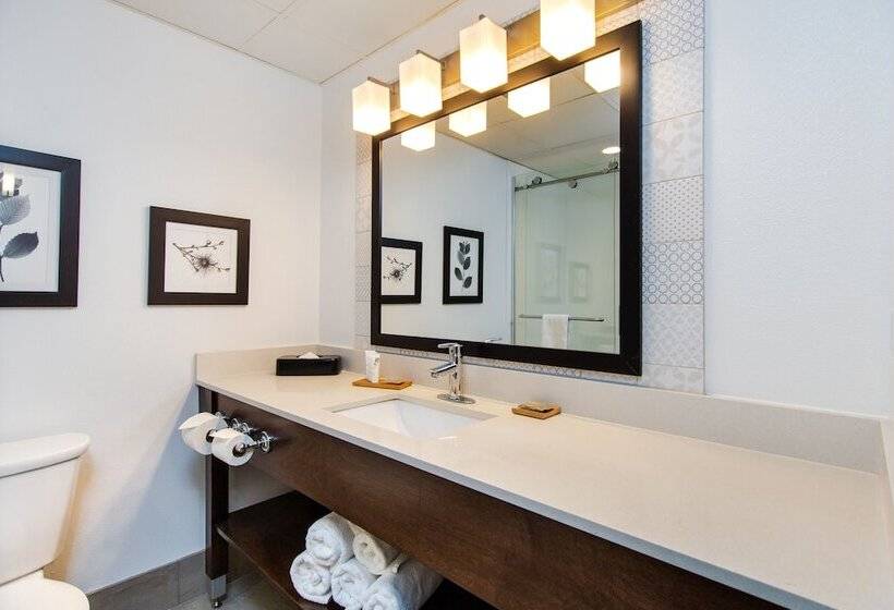 Люкс Адаптированный для Инвалидов, Country Inn & Suites By Radisson, Rapid City, Sd