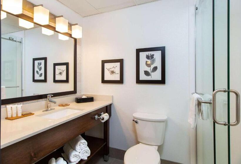 Люкс, Country Inn & Suites By Radisson, Rapid City, Sd