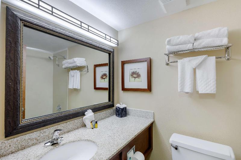 Люкс Кровать Кинг, Country Inn & Suites By Radisson, Rock Falls, Il