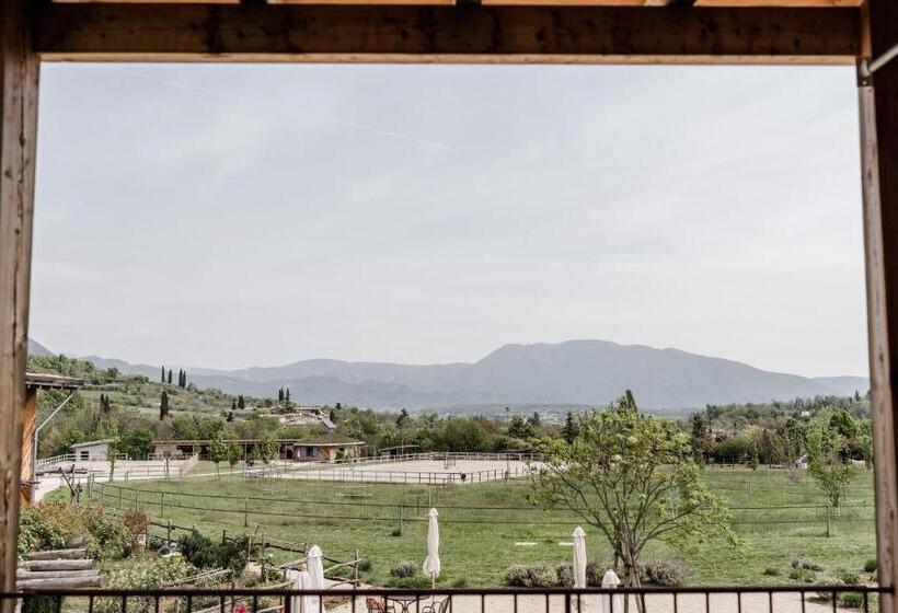 Номер Стандарт с Террасой, Casa Viva